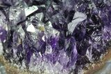 Purple Amethyst Cluster - Uruguay #66784-1